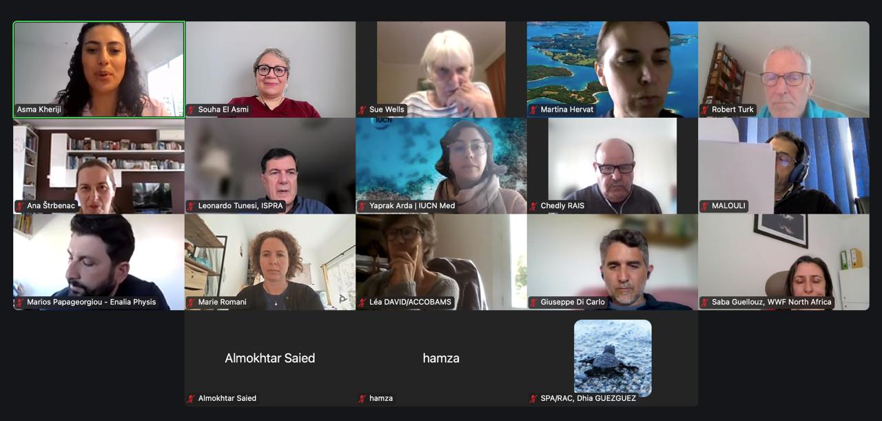 Schéma du processus participatif Post‑2020 SAPBIO