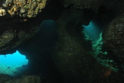 Action Plan on Dark Habitats