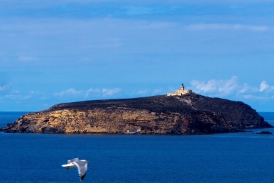Lancement du classement de l’Aire Marine et Côtière de l’île de Rachgoun en Algérie
