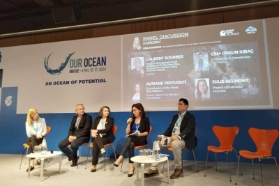 Faire revenir le phoque moine de Méditerranée dans son environnement d'origine