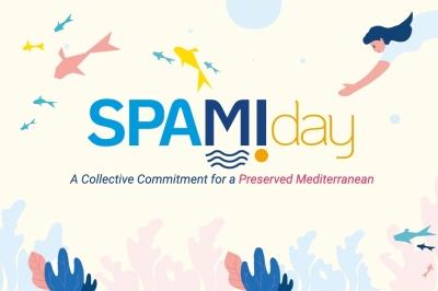 SPAMI DAY 2025