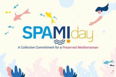 SPAMI DAY 2025