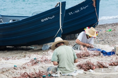 Nouveau document : Interconnexions entre les indicateurs IMAP pour l’atteinte du Bon État Écologique en Méditerranée, y compris le rôle des pêcheries