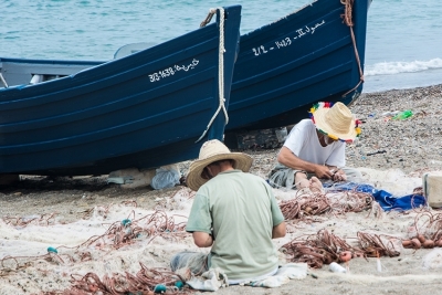 New document: interlinkages among IMAP indicators for achieving Good Environmental Status in the Mediterranean, including the role of fisheries