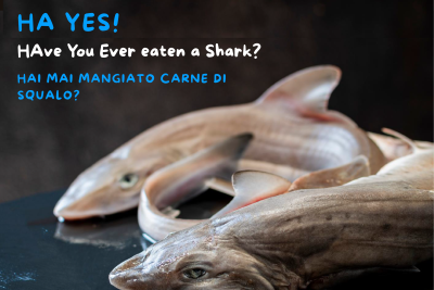 HA, YES - HAve You Ever eaten a Shark?