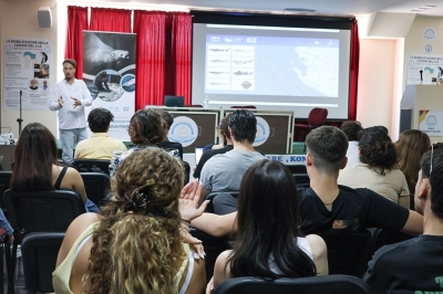Sauvegarder les poissons cartilagineux dans le sud de l’Adriatique