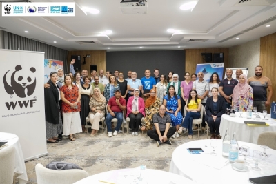 Atelier sous-régional sur la conservation et la gestion des requins et des raies en Méditerranée