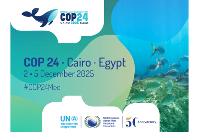 COP24 de la Convention de Barcelone : enjeux et avancées clés pour la biodiversité méditerranéenne