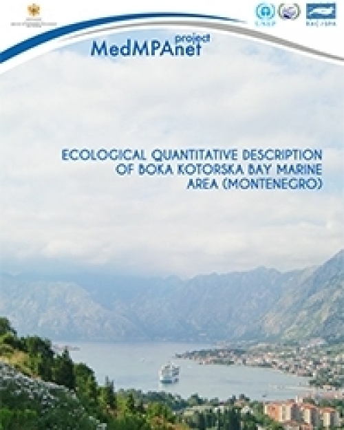 Description quantitative écologique de la zone marine de la baie de Boka Kotorska  (2013)