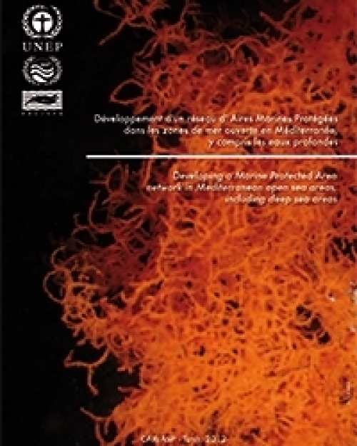 Développement d'un réseau d'Aires Marines Protégées dans les zones de mer ouverte en Méditerranée, y compris les eaux profondes