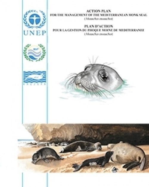 Plan d'action sur le phoque moine