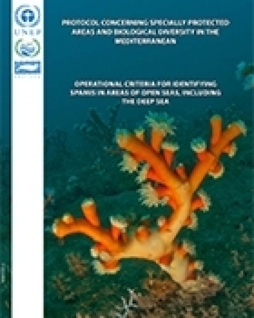 Operational criteria for identifying SPAMIS in areas of open seas