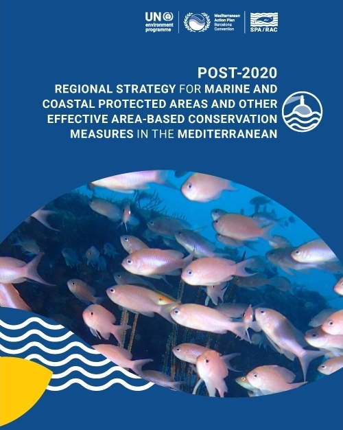 Post-2020 regional strategy for marine and coastal protected areas and other effective area-based conservation measures in the Mediterranean: MCPA & OECM strategy