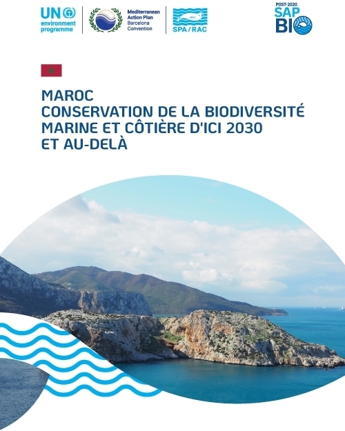 Conservation of marine and coastal biodiversity by 2030 and beyond in Morocco