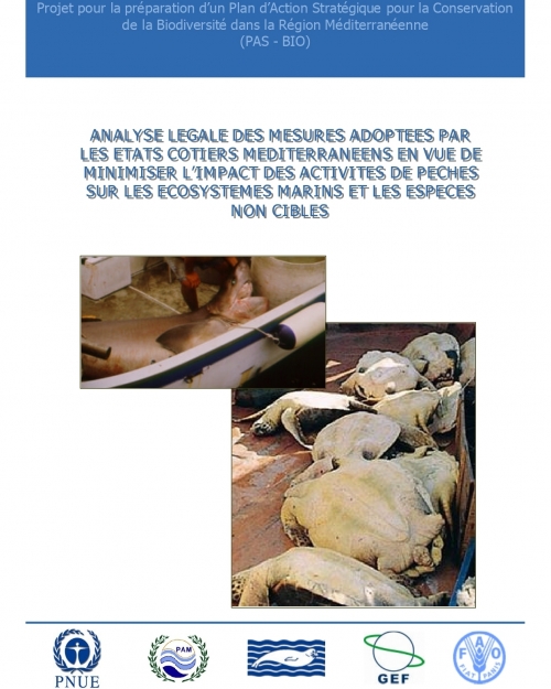 Analyse légale des mesures adaptées par les états côtiers méditerranéens