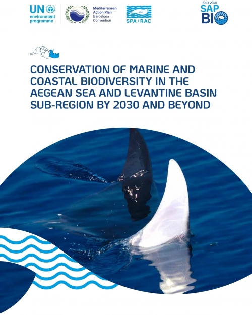 Conservation of marine and coastal biodiversity in the Aegean Sea and levantine basin subregion by 2030 and beyond