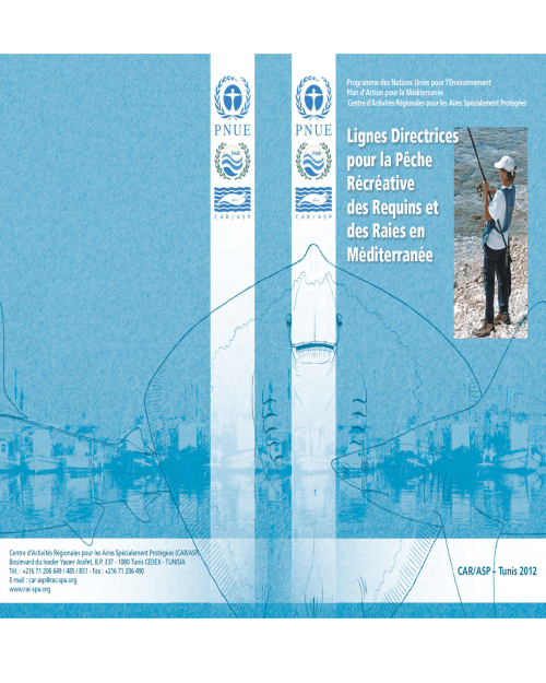 Lignes directrices sur la pêche recréative des requins et des raies en Méditerranée