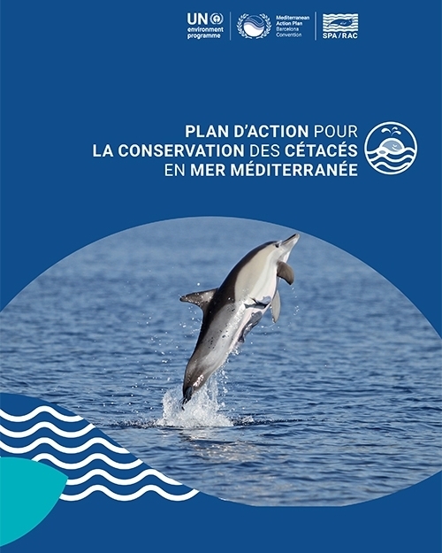Plan d’action pour la conservation des cétacés en mer Méditerranée