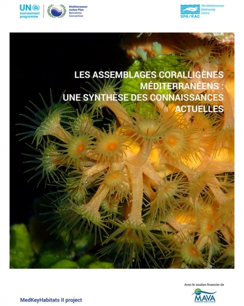 Les assemblages coralligènes méditerranéens : Une synthèse des connaissances actuelles