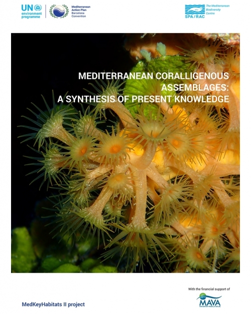 Mediterranean coralligenous assemblages: a synthesis of present knowledge