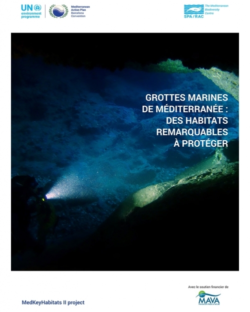 Grottes marines de Méditerranée : des habitats remarquables à protéger