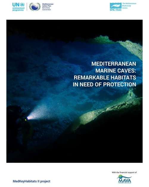 Mediterranean marine caves: remarkable habitats in need of protection