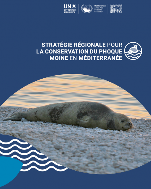 Stratégie régionale pour la conservation du phoque moine en Méditerranée