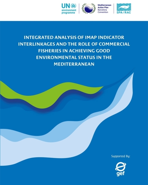 Analyse intégrée des interconnexions entre les indicateurs de l'IMAP et le rôle des pêcheries commerciales dans l'atteinte du bon état écologique en Méditerranée