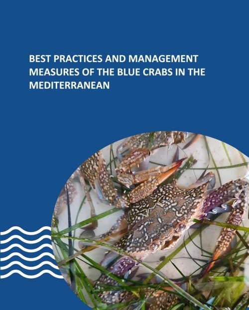Best Practices and Management Measures of the Blue Crabs in the Mediterranean