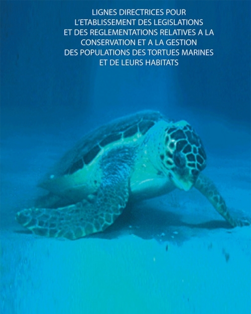  Lignes directrices pour l’établissement des législations et des règlementations relatives à  la conservation et à la gestion des populations des tortues marines et de leurs habitats