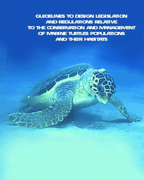 Guidelines to design legislations and regulations to the conservation and management of  marine turtles populations and their habitats