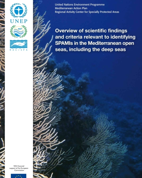 Overview of scientific findings and criteria relevant to identifying SPAMIs in the Mediterranean open seas, including the deep seas