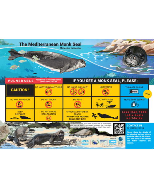 Poster on The Mediterranean Monk Seal