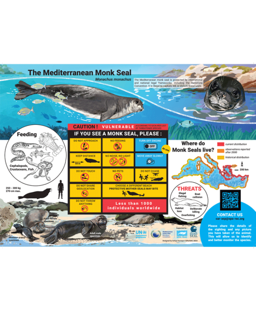 Poster on The Mediterranean Monk Seal (Full version)