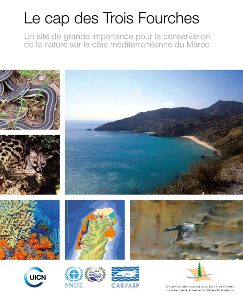 Le cap des Trois Fourches: Un site de grande importance pour la conservation de la nature sur la côte méditerranéenne du Maroc