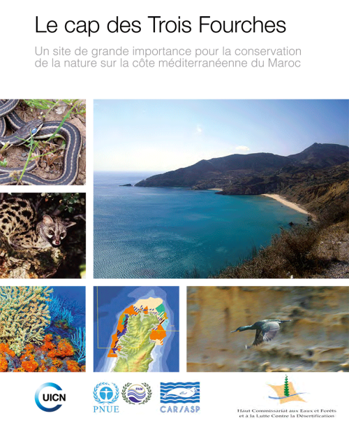 Le cap des Trois Fourches: Un site de grande importance pour la conservation de la nature sur la côte méditerranéenne du Maroc