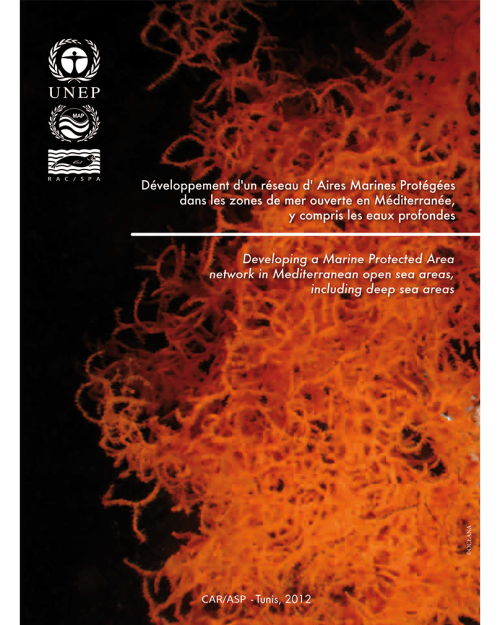 Developing a Marine Protected Area network in Mediterranean open sea areas, including deep sea areas