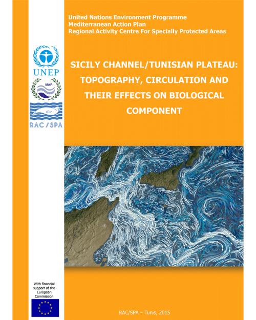 Sicily Channel/Tunisian Plateau: Topography, circulation and their effects on biological component