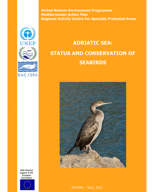 Adriatic Sea: Status and conservation of Seabirds