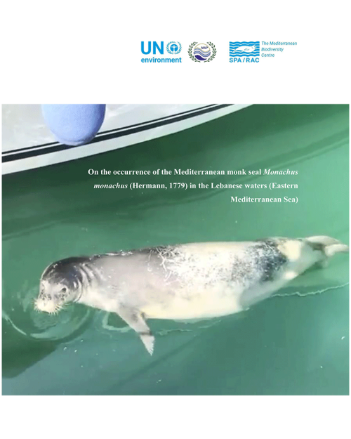 On the occurrence of the Mediterranean monk seal in the Lebanese waters