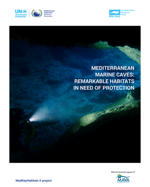 Mediterranean marine caves: remarkable habitats in need of protection