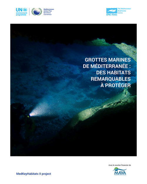 Grottes marines de Méditerranée : des habitats remarquables à protéger