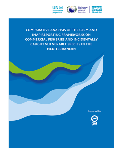 Comparative analysis of the GFCM and IMAP reporting frameworks on commercial fisheries and incidentally caught vulnerable species in the Mediterranean Status