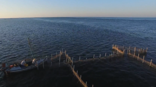 La Méditerranée, une mer, des hommes