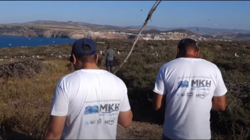 Cartographie des habitats marins clés aux alentours de l'île Rachgoun