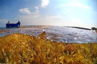Appel à consultation pour la cartographie SIG afin de soutenir l'application de l’outil NEAT