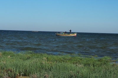 Appel à consultants pour élaborer une stratégie de communication pour la future AMCP à Kerkennah Appel à consultants pour élaborer une stratégie de communication pour la future AMCP à Kerkennah