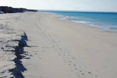 Addendum N°1 to the call for consultancy N° 19/2022_SPA/RAC_IMAP-MPA