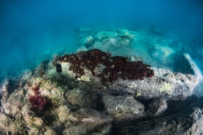Appel à consultation pour entreprendre une étude bibliographique sur la surveillance et l’évaluation des dommages sur les fonds marins