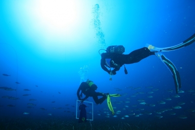 Call for consultancy for the Development of the conditions and criteria for the award of the Regional Action Plans Partners titles” Call for consultancy for the Development of the conditions and criteria for the award of the Regional Action Plans Partners titles”